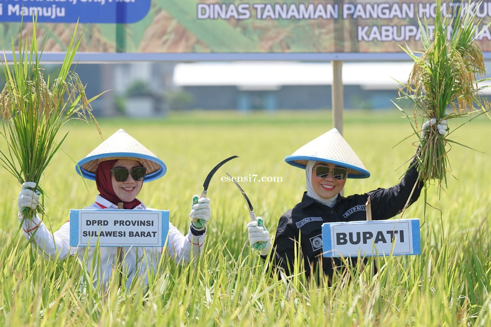 Ketua DPRD Sulbar Suraidah Suhardi Tekankan Peran Pemerintah Pusat dalam Panen Raya Mamuju