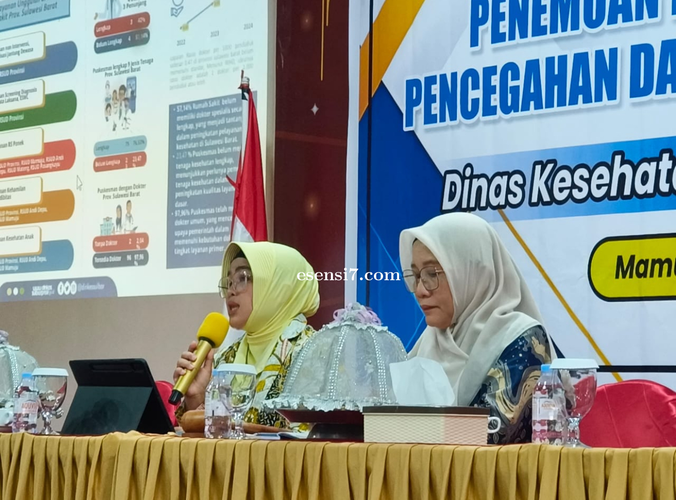 Sekretaris Dinkes Sulbar Paparkan Isu Strategis dan Renstra 2025–2029 pada Kegiatan Validasi Data Ke