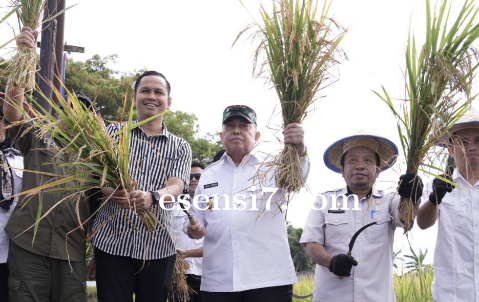 Stop Konflik Agraria! Wagub Sulbar Arahkan Alih Fungsi Lahan Sawit untuk Cetak Sawah Baru