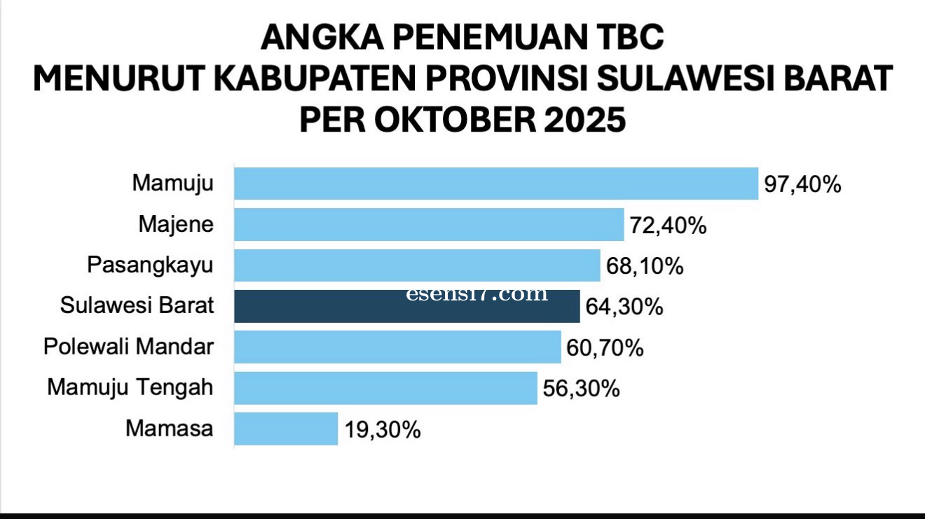 Penemuan Kasus TBC di Sulawesi Barat Capai 64,30 Persen, Dinkes Dorong Akselerasi Eliminasi TBC 2030