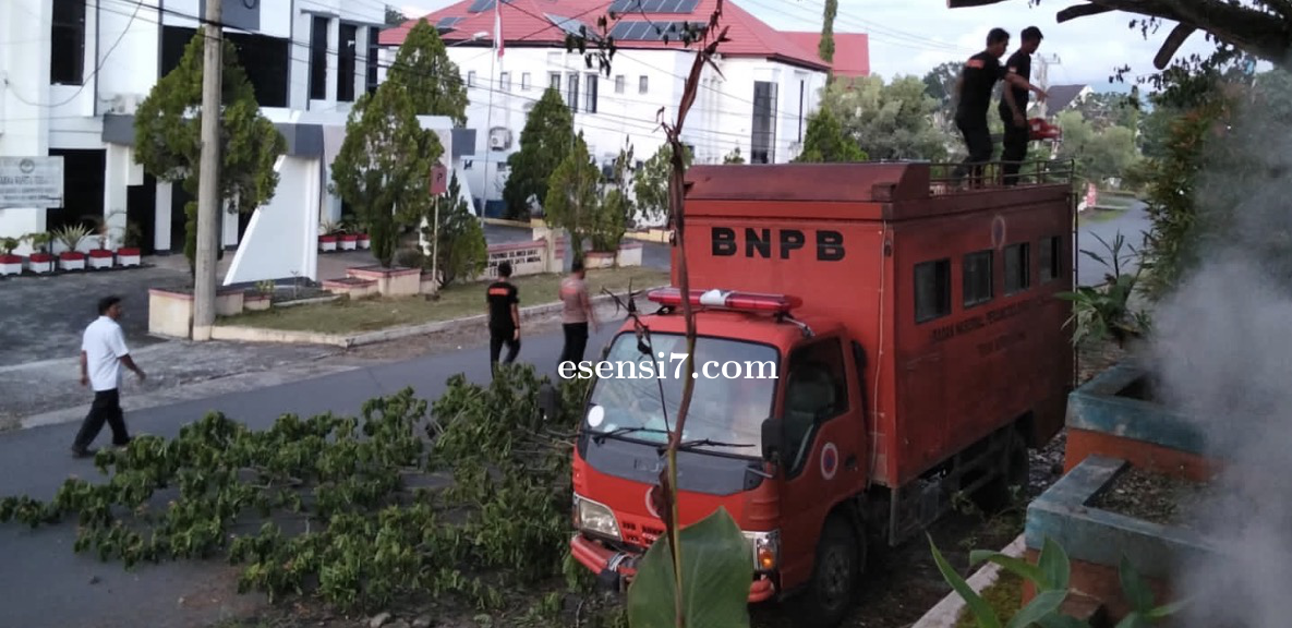 Respons Cepat : Regu 4 Posko Siaga Darurat BPBD Sulbar Pangkas Pohon di Area Posko untuk Keselamatan
