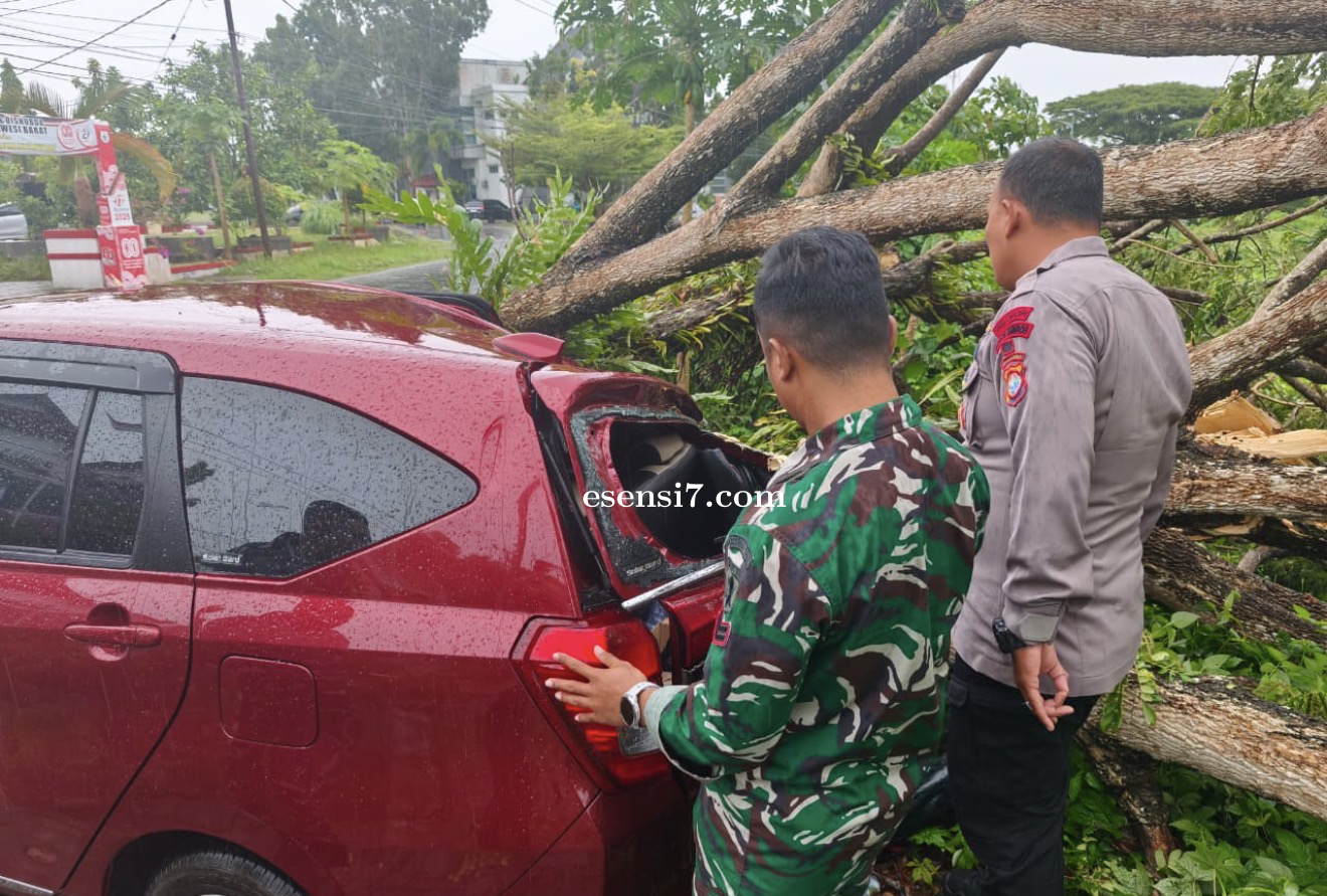 Regu 4 Posko Siaga Darurat BPBD Sulawesi Barat Respons Cepat Tangani Pohon Tumbang di Depan Kantor D